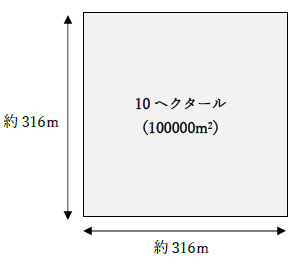 10ヘクタールはどれくらいの広さ
