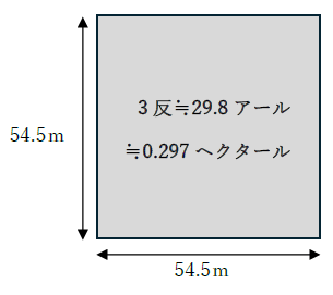 3反の一辺の長さは何メートル