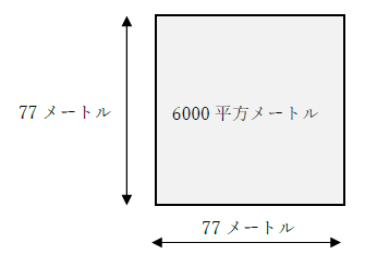 6000平方メートルの広さと正方形